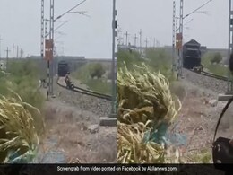 रेलवे ट्रैक पर बाइक के साथ स्टंट कर रहा था शख्स, अचानक सामने से आती दिखी ट्रेन और फिर हुआ कुछ ऐसा - देखें Shocking Video रेलवे ट्रैक पर बाइक के साथ स्टंट कर रहा था शख्स, अचानक सामने से आती दिखी ट्रेन और फिर हुआ कुछ ऐसा - देखें Shocking Video