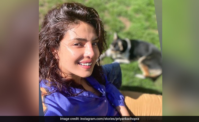 We Don't Know What's Brighter; London On A Sunny Day Or Priyanka Chopra's Sunkissed Glow