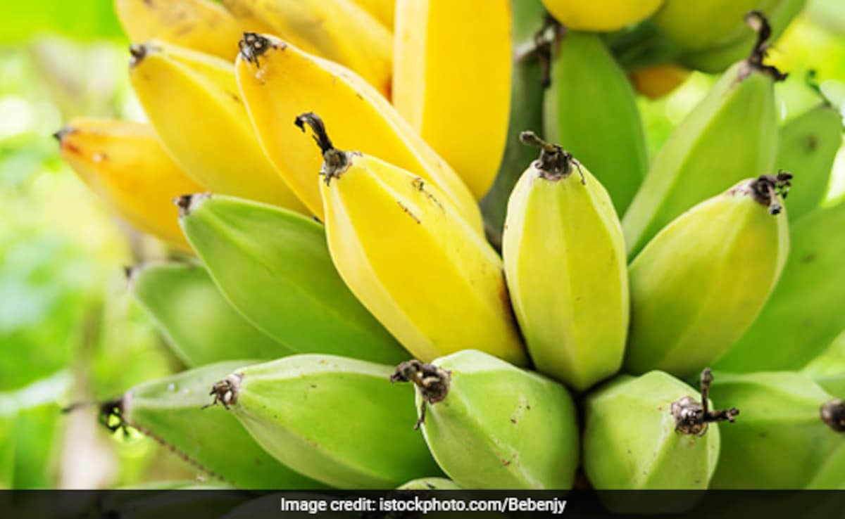 Latest and Breaking News on NDTV Latest and Breaking News on NDTV