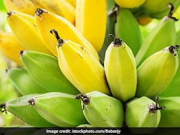 कच्चा केला ब्लड शुगर के मरीजों के लिए है रामबाण, ऐसे करना है सेवन कच्चा केला ब्लड शुगर के मरीजों के लिए है रामबाण, ऐसे करना है सेवन
