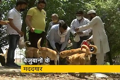 ग्रेटर नोएडा की ये टीम बनी जानवरों की मददगार ग्रेटर नोएडा की ये टीम बनी जानवरों की मददगार