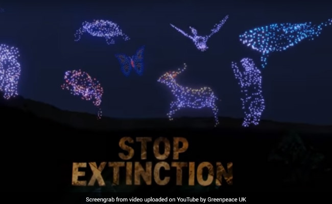 Watch: Sparkle Of 300 Drones For Environment Awareness As G7 Leaders Meet