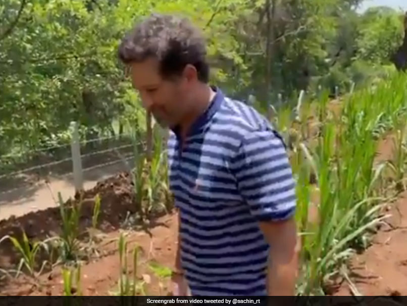 World Environment Day: Sachin Tendulkar, IPL Teams Raise Awareness