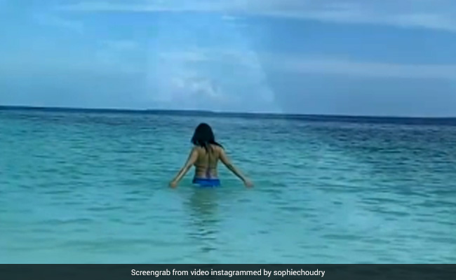 World Ocean Day 2021: Into The Blue With Sophie Choudry