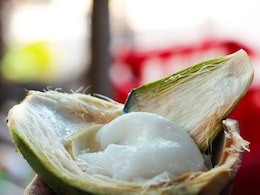 Boost Your Health By Eating Coconut Malai Today Boost Your Health By Eating Coconut Malai Today
