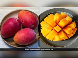 National Mango Day: आम खाने के हैं शौकीन तो इन रेसिपीज को एक बार जरूर करें ट्राई, बच्चे से बड़ों तक सबको आएंगी पसंद