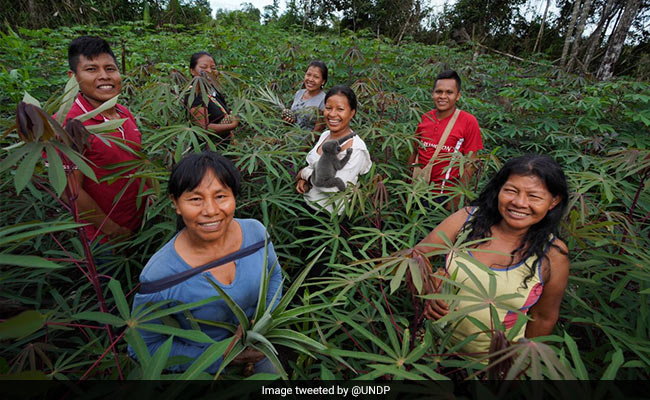 International Day of Tropics 2021: Theme, Facts And Background