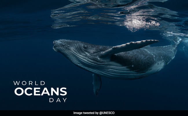 World Oceans Day 2021: Plastic Waste And India's Awareness Campaign