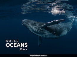World Oceans Day 2021: Plastic Waste And India's Awareness Campaign World Oceans Day 2021: Plastic Waste And India's Awareness Campaign