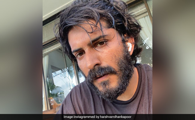 Amid Pandemic, Harshvardhan Kapoor Writes About "Slowly Morphing Into An Anxious Creature"