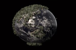 World Environment Day 2021: What You Need To Know World Environment Day 2021: What You Need To Know