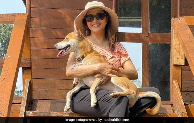 This Is How Madhuri Dixit's Pet Pooch Greets Her When She Returns Home. Dog Moms Will Relate