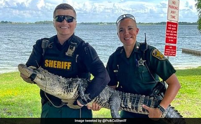 Only In Florida: Cops Capture 5.5-Foot Alligator From Family's Front Porch