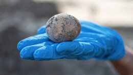 Israeli Archaeologists Find Chicken Egg 'Intact' After 1000 Years