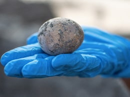 Israeli Archaeologists Find Chicken Egg 'Intact' After 1000 Years Israeli Archaeologists Find Chicken Egg 'Intact' After 1000 Years