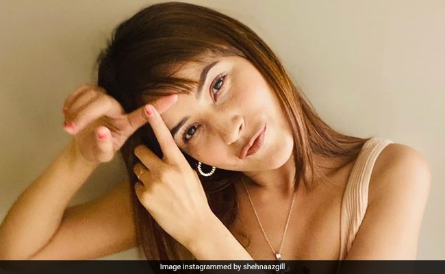 Shahnaz Gill ने गाया अंग्रेजी गाना, वीडियो शेयर कर बोलीं- कौन कहता है मुझे इंग्लिश नहीं आती ?