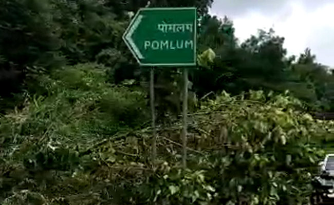 Amid Outrage Over Felling Of Trees In Shillong, Government's Assurance