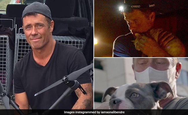 'Doug To The Rescue': Drone Pilot Saves Animals In Global Disaster Zones