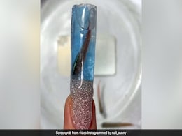 नेल आर्टिस्ट ने Aquarium Manicure में किया असली मछली का इस्तेमाल, वीडियो देख भड़के लोग, कही ये बात - देखें Video नेल आर्टिस्ट ने Aquarium Manicure में किया असली मछली का इस्तेमाल, वीडियो देख भड़के लोग, कही ये बात - देखें Video