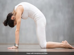 इम्यूनिटी बढ़ाने के साथ आपके रेस्पिरेटरी सिस्टम के लिए शानदार हैं ये 6 कारगर योग आसन इम्यूनिटी बढ़ाने के साथ आपके रेस्पिरेटरी सिस्टम के लिए शानदार हैं ये 6 कारगर योग आसन