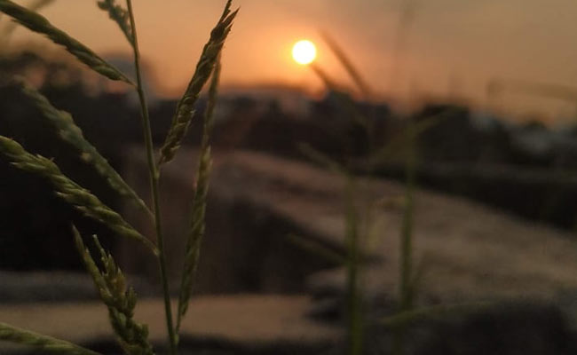 Delhi Sees Hottest Day Of Year So Far Amid Warnings Of Severe Heat Wave