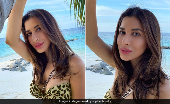 Sophie Choudry In A Leopard Bikini Is "Going Through An Animal Print Phase" And We're All For It