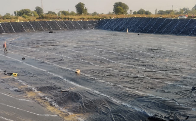 MP: मछली से दोगुनी कमाई का लालच दे किसानों से करोड़ ठगे, बीजेपी विधायक तक जाल में फंसीं