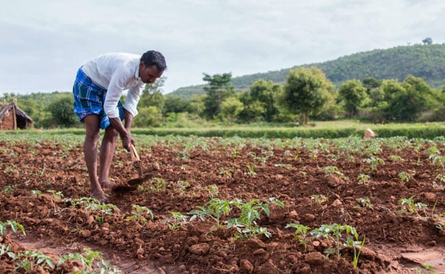 Sponsored: Support Those Who Put Food On Your Table Everyday