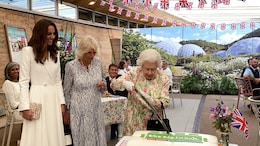 Queen Elizabeth Cuts Cake With Sword At Event, Twitter Is Loving It