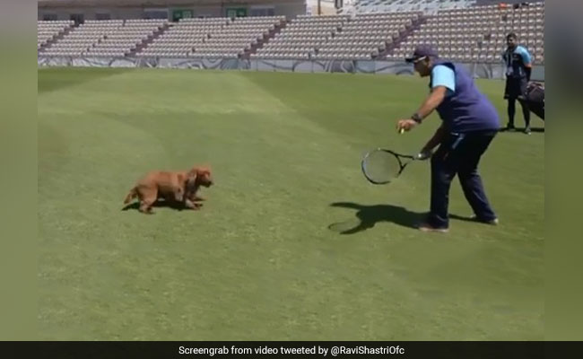 WTC Final: डॉगी 'विंस्टन' को टेनिस प्रैक्टिस कराते दिखे कोच रवि शास्त्री- Video