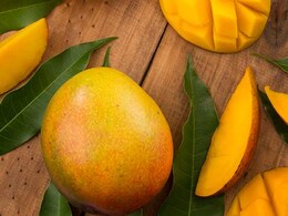 Viral: Mango Growing With "Z+ Security"; Pic Leaves Twitter In Splits