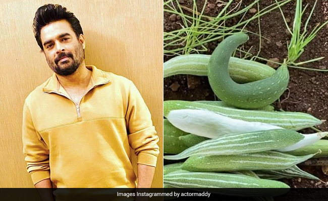 यह है Madhavan का आलीशान घर, जहां बालकनी में उगते हैं पपीते से लेकर करेले तक- देखें Video