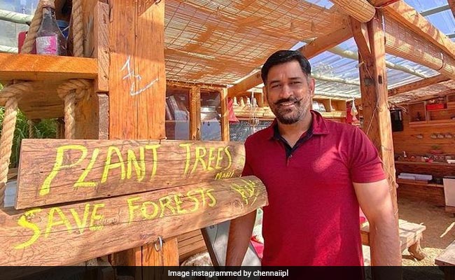 MS Dhoni की इस फोटो पर मचा बवाल, लोगों को दिया मैसेज ‘पेड़ लगाओ, जंगल बचाओ’, तो बुरी तरह हो गए ट्रोल