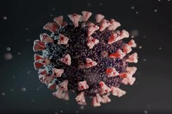 COVID-19 Fallout: What Is White Fungus Infection? COVID-19 Fallout: What Is White Fungus Infection?