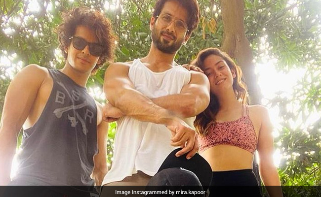 Can There Be A More Stylish Dream Team Than Mira Rajput, Shahid Kapoor And Ishaan Khatter?