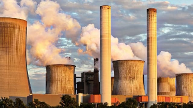 Air pollution has have many adverse effects on the body