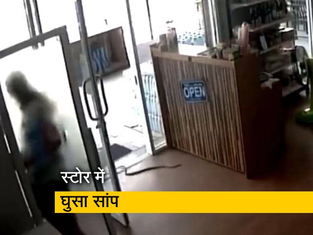 थाईलैंड : सांप को स्टोर में देख तेजी से भागी कर्मचारी