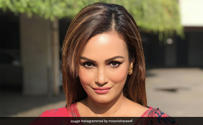 जानें निशा रावल और करण मेहरा के रिश्ते का कड़वा सच