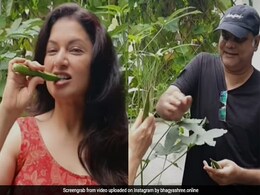 Bhagyashree के पति ने तोड़ी अपने गार्डन की भिंडी, एक्ट्रेस कच्ची ही चबा गईं- देखें Video Bhagyashree के पति ने तोड़ी अपने गार्डन की भिंडी, एक्ट्रेस कच्ची ही चबा गईं- देखें Video