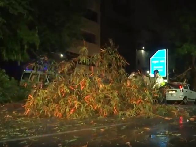 Trees Uprooted As Heavy Rainfall Hits Delhi