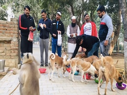 लॉकडाउन में बेजुबानों का सहारा बनी ये टीम, 7 महीने से जानवरों को खिला रही खाना लॉकडाउन में बेजुबानों का सहारा बनी ये टीम, 7 महीने से जानवरों को खिला रही खाना