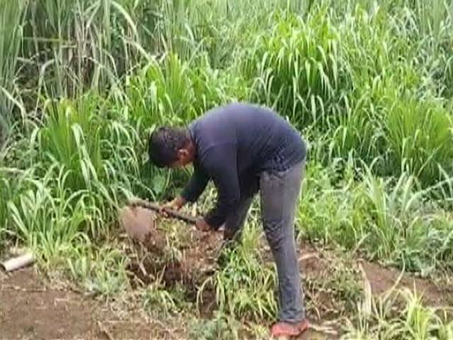 No Practise Amid Covid, Professional Wrestlers Turn Labourers In Maharashtra