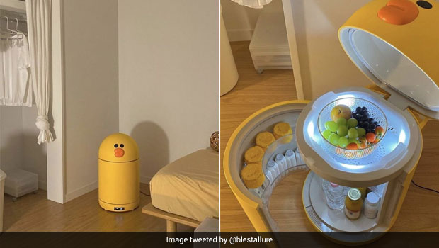 Viral Pics Of Unique Duck-Shaped Fridge Will Make You Go 'Aww'