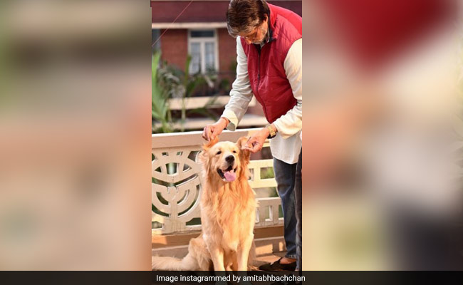 Amitabh Bachchan Eclipsed By A Co-Star? The Impossible Happened