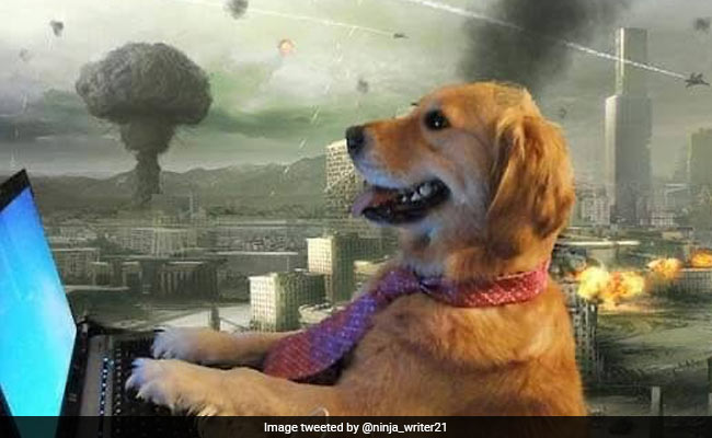 Global Internet Outage Triggers Meme Fest As #InternetShutdown Trends