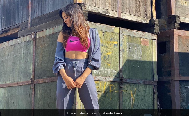 <i>Khatron Ke Khiladi</I> Contestant Shweta Tiwari Shares More Pics From Cape Town
