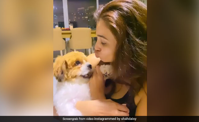 Have You Met Daisy Shah's Fur Baby? Dog Mom's Will Relate