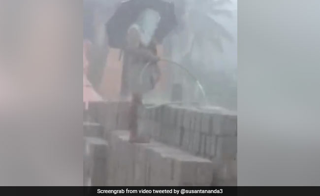 तेज बारिश में छाता लेकर पाइप से ईंटों पर पानी डाल रहा था शख्स, लोग बोले- ‘सबसे ईमानदार कार्यकर्ता’ - देखें Funny Video