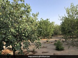 World Day To Combat Desertification And Drought 2021: Theme, Significance World Day To Combat Desertification And Drought 2021: Theme, Significance