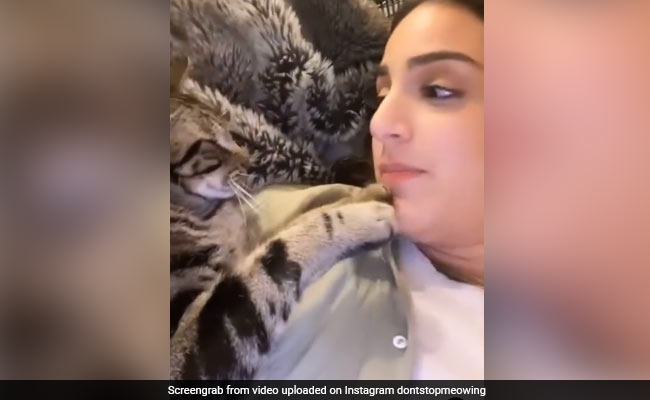 दूसरी बिल्ली को बुला रही थी मालकिन, तो बिल्ली को आया गुस्सा, पंजे से दबाकर बंद कर दिया महिला का मुंह - देखें Video